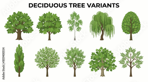 Deciduous Tree Variants Vector Set with Ten Unique Silhouettes for Botanical Education, Landscape Design, and Minimalist Nature-Themed Graphic Illustration Use