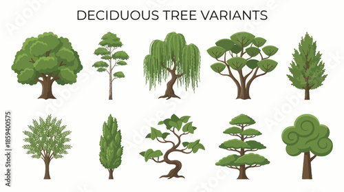Deciduous Tree Variants Vector Set with Ten Unique Silhouettes for Botanical Education, Landscape Design, and Minimalist Nature-Themed Graphic Illustration Use