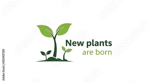 A graphic featuring young plant illustrations with green leaves and stems. The words "New plants are born" are placed on a white background