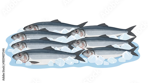 A group of fish are arranged on ice. They have silver bodies, dark grey stripes and fins, pink eyes, and are on a blue base