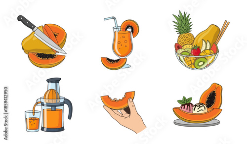 Papaya fruit illustrations freshly cut juice and dessert presentations
