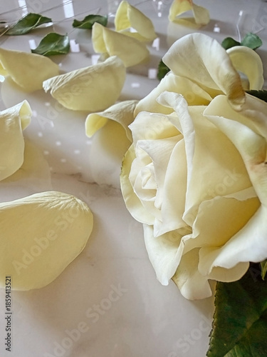 Handmade tea rose sculpted from air-dry clay lying on a table, with separate petals and green leaves nearby. Clay flower during crafting process. DIY art, handmade decoration, creative workshop