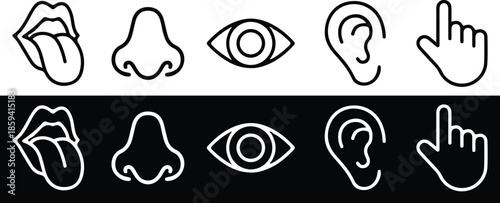 five human sense white black line icons set vector stroke illustration 