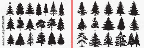 pine tree silhouettes vector, evergreen forest clipart, conifer tree svg, winter forest illustration, christmas tree graphics, black pine silhouettes, nature vector art, woodland tree design, pine sha