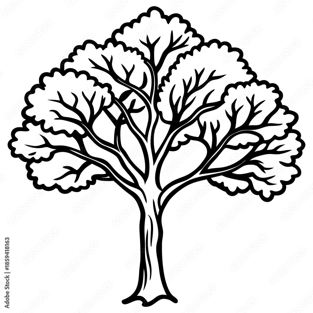 Obraz premium Locust tree line art vector