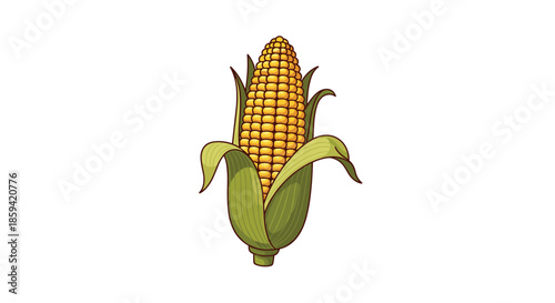 A detailed, vintage-style illustration of a ripe ear of corn, partially shucked to reveal the golden yellow kernels inside its green husks.