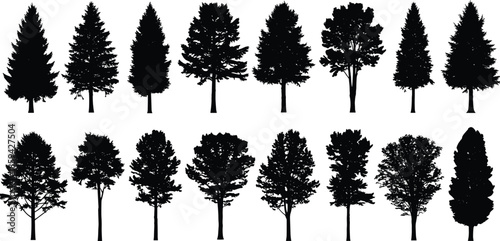 Forest tree silhouette collection set, pine fir oak nature landscape element, isolated black shape, woodland, cad drawing flat vector illustration