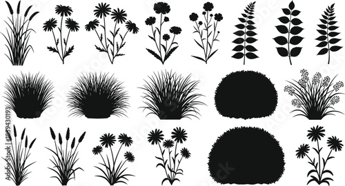 Wildflower and grass plant silhouette set, meadow bush and leaf collection, nature botanical garden element, isolated black shape, cad drawing flat vector illustration