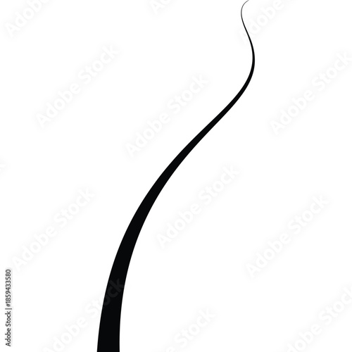 black and white curve lines