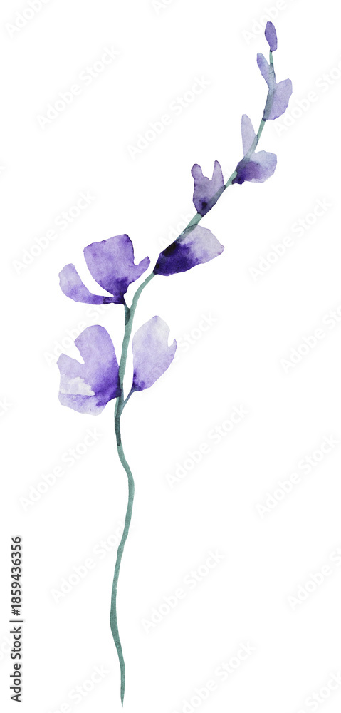 Fototapeta premium Watercolor pastel light purple wild flowers, isolated illustration, floral wedding and greeting element