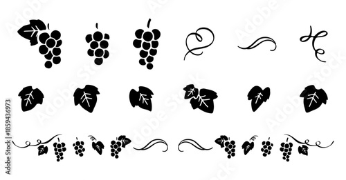 Monochrome Grape Icon Set | Fruit Silhouette & Decorative Elements