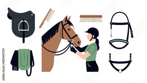 Equestrian care and tack elements in flat design for horse riding enthusiasts
