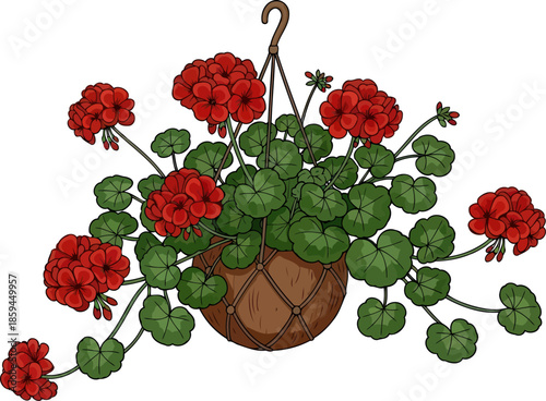 crimson cascade vibrant geraniums infusing joy into every space, vector isolated on transparent background