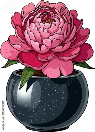 effortless elegance a bold peony burst in a stylish speckled planter, vector isolated on transparent background