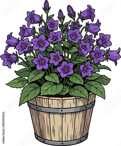enchanted barrel bloom purple bellflowers unfold a story of rustic serenity, vector isolated on transparent background