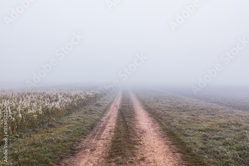 Photos Mysterious winter dirt road disappearing into fog, icy fields on both sides with