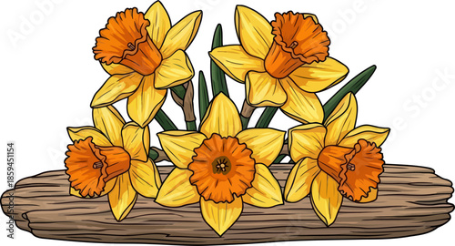 golden harbingers rustic driftwood cradles springs luminous promise, vector isolated on transparent background