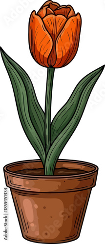 handdrawn radiance a potted tulip infusing everyday spaces with natural cheer, vector isolated on transparent background