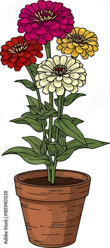 harmony of hues a potted burst of vibrant zinnia blooms, vector isolated on transparent background