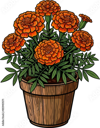 joyful glow potted marigolds unveiling natures brightest, most welcoming smile, vector isolated on transparent background