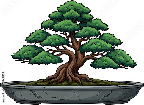 living sculpture patience manifested in a serene, ancient botanical art, vector isolated on transparent background