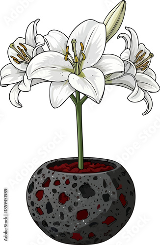 organic elegance white lilies flourishing in a distinctive volcanic rock planter, vector isolated on transparent background