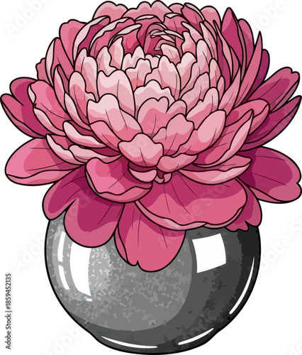 peonys allure a refined bloom gracing a minimalist, modern design, vector isolated on transparent background