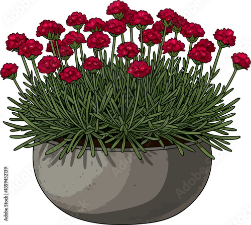 petite powerhouse crimson blossoms radiating vibrant energy and enduring appeal, vector isolated on transparent background