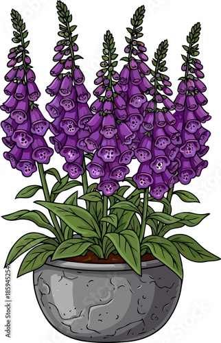purple spires of enchantment a whimsical gardens bellshaped beauty in bloom, vector isolated on transparent background