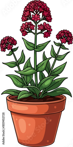 regal red bloom potted grandeur for modern spaces and design, vector isolated on transparent background