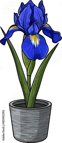 sapphire bloom artistic iris pot, infusing wisdom and beauty in digital art, vector isolated on transparent background