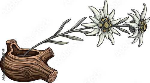 summit whisper edelweiss and earths vessel, echoing timeless mountain grace, vector isolated on transparent background