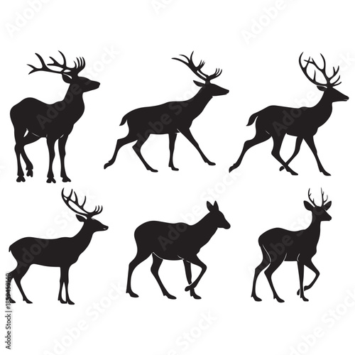 Six black silhouette deer with antlers in various poses against a white background Vector