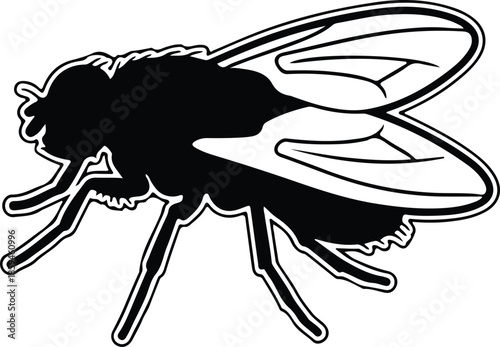 Silhouette black insect housefly pest with detailed transparent wings Vector Illustration