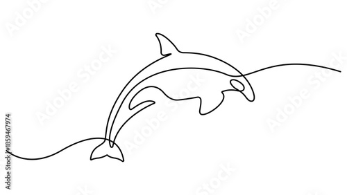Continuous one line drawing of orca whale. One line of wild whale killer. Under ocean concept continuous line art. World Maritime Day. Sea whale icon line continuous drawing vector. Editable outline