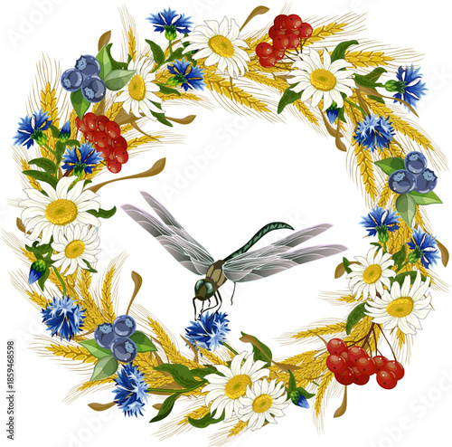 A wreath of grain ears and flowers with a large dragonfly inside.A wreath of ears, cornflowers and berries on a white background in color vector illustration.