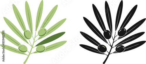 Olive branch vector set featuring green olives with leaves and black silhouette botanical illustration
