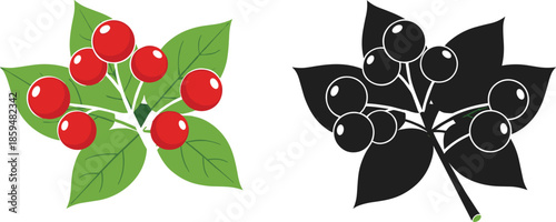 Cherry branch vector set featuring red berries with leaves and black silhouette botanical fruit illustration