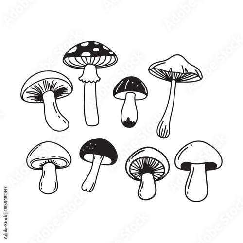 Collection of Line Art Mushrooms
