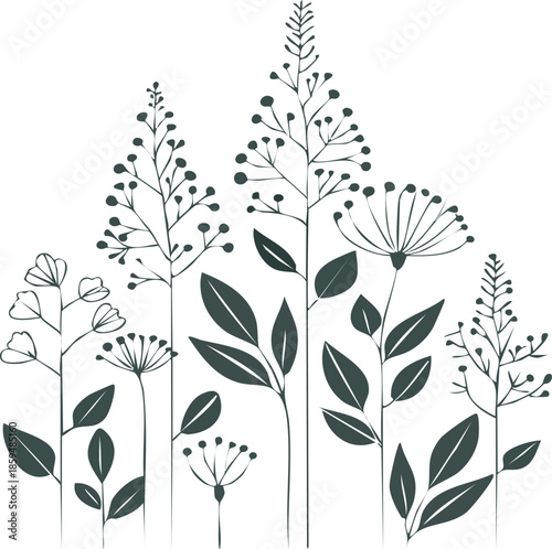 Minimalist botanical line art wall art featuring delicate wildflowers and leaves
