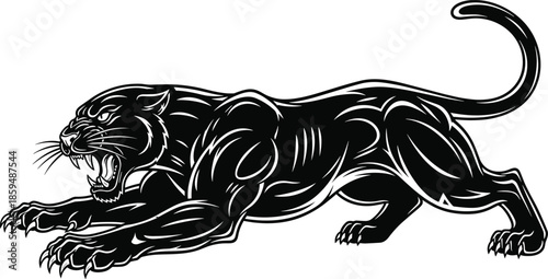 Powerful crouching panther illustration, black and white, muscular stance, open mouth roar, extended claws, curved tail, bold lines, fierce artwork
