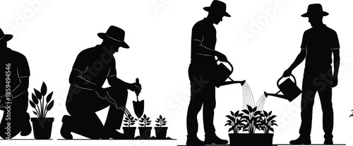 Silhouette gardeners planting and watering plants, men working together with shovel and watering can, outdoor gardening scene, isolated vector illustration