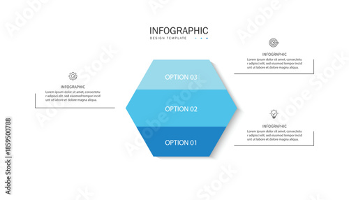 Vector infographic label design with hexagon infographic template design and 3 options or steps.