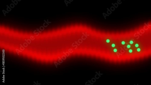 cells travelling through a blood vessel