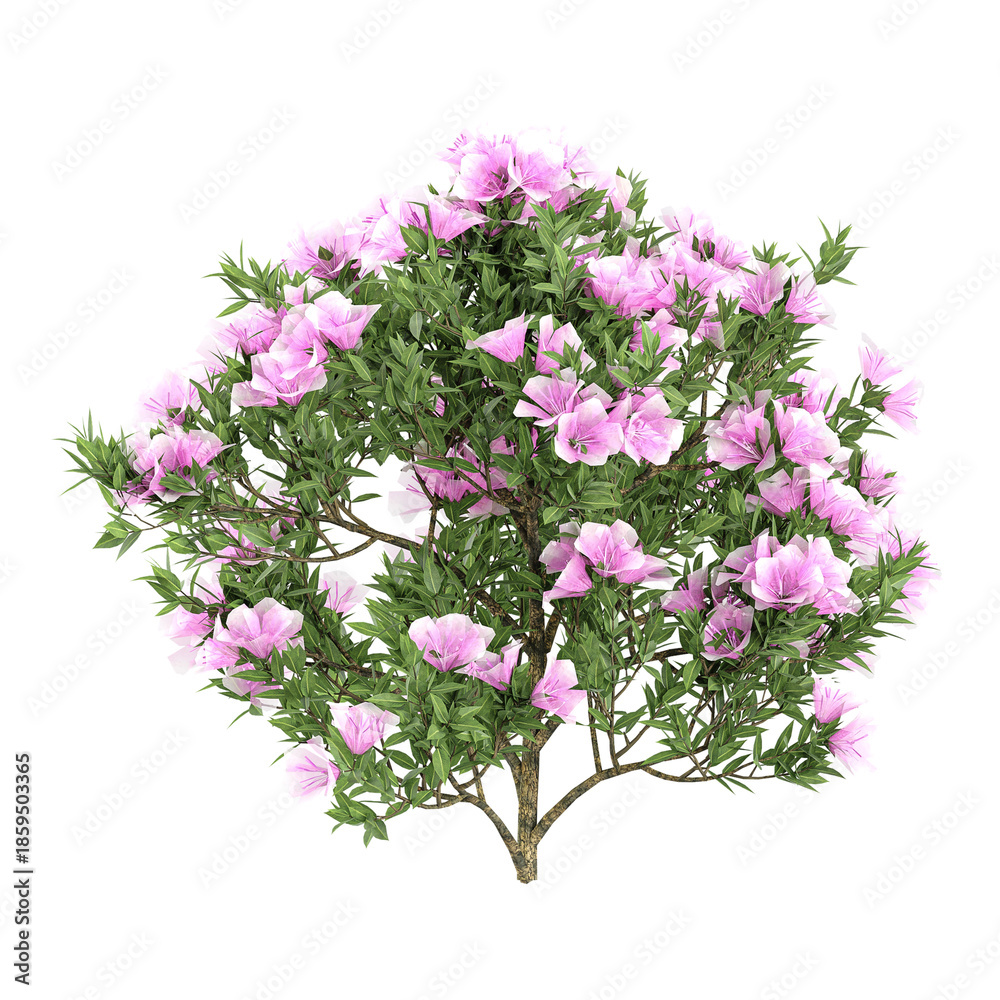 Obraz premium 3d illustration of Rhododendron Plant isolated on transparent background
