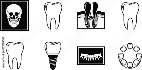 Dental anatomy icon set with teeth skull implant xray illustrations, medical dentistry symbols, black and white vector collection, isolated design