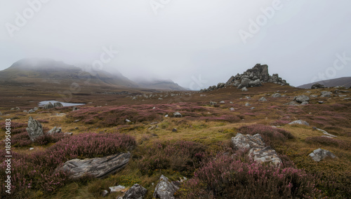 Misty rocky highland moor with purple heather and scattered boulders under overcast sky