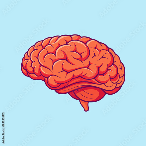 Human Brain, vector, Illustration