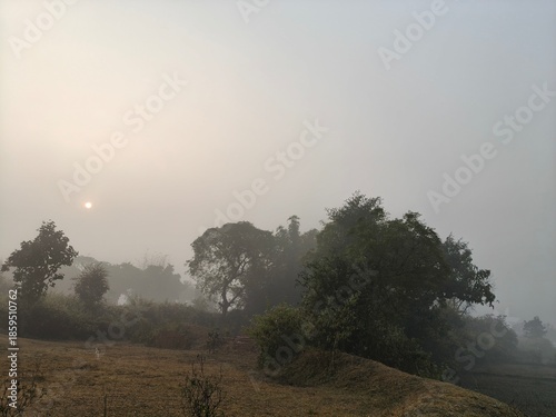 A serene landscape captured in a thick morning mist. In the foreground, green trees and foliage hazy view of distant fields and forests, creating a quiet, atmospheric, and natural scene.