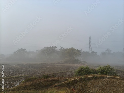 A serene landscape captured in a thick morning mist. In the foreground, green trees and foliage hazy view of distant fields and forests, creating a quiet, atmospheric, and natural scene.